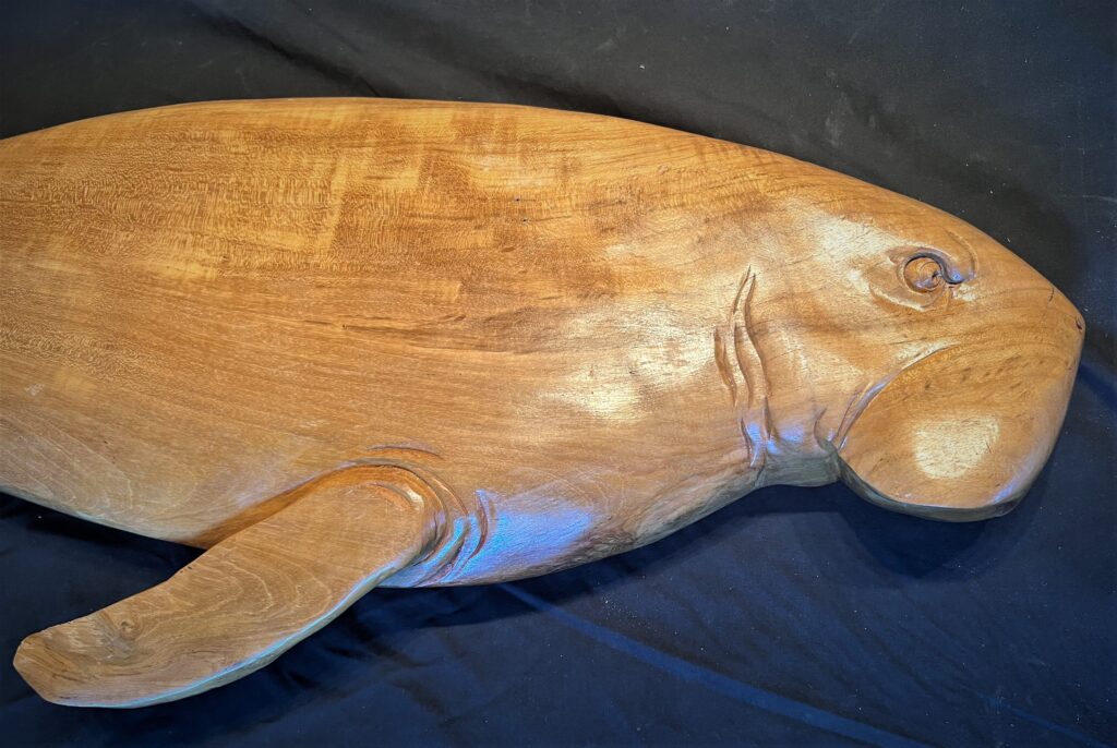 Life-Like, Rescued Teak Wood Manatee Sculpture/Carving