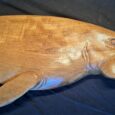 Life-Like, Rescued Teak Wood Manatee Sculpture/Carving