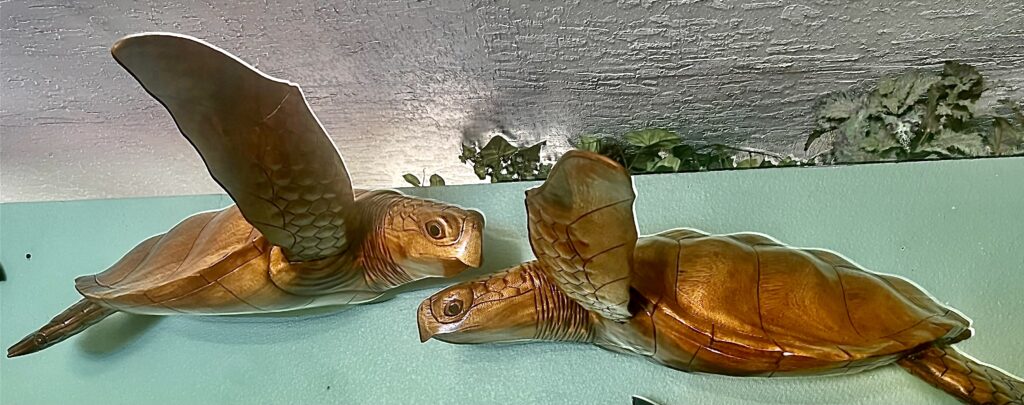 Large Oak Wood Hand Carved Half Body, Wall Mount Logger Head Turtle Sea Turtle