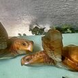 Large Oak Wood Hand Carved Half Body, Wall Mount Logger Head Turtle Sea Turtle