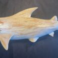 Highly Detailed White Washed Hammer Head Wall Mount Shark Carving